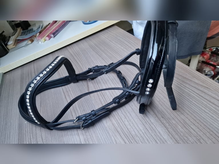 UNIKAT Trense Cob
