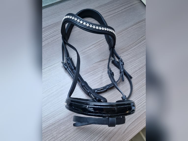 UNIKAT Trense Cob