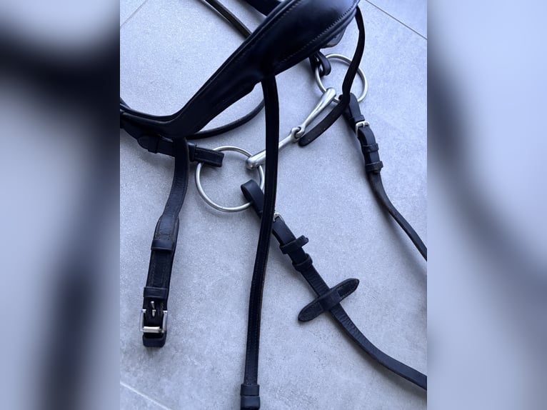 WB Schockemöhle Alpha schwarz 2 Nasenstücke - gebraucht WB Schockemöhle Alpha schwarz 2 Nasenstücke - gebraucht