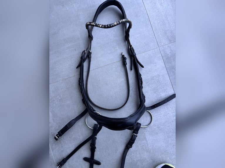 WB Schockemöhle Alpha schwarz 2 Nasenstücke - gebraucht WB Schockemöhle Alpha schwarz 2 Nasenstücke - gebraucht