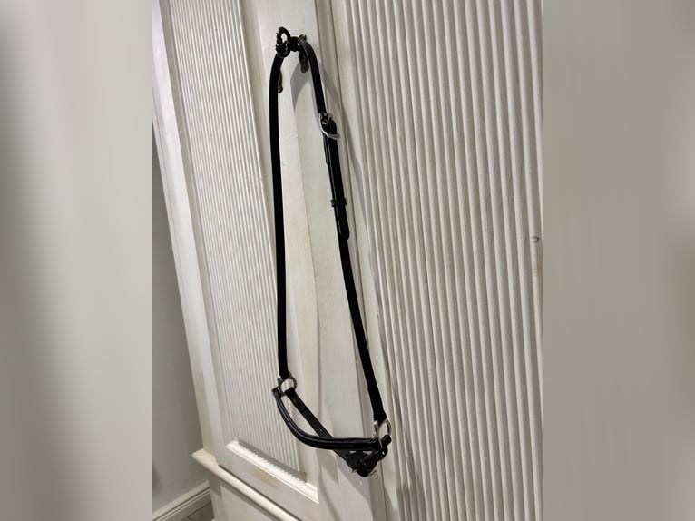 Topreiter Klassik Nasenriemen hannoversch 