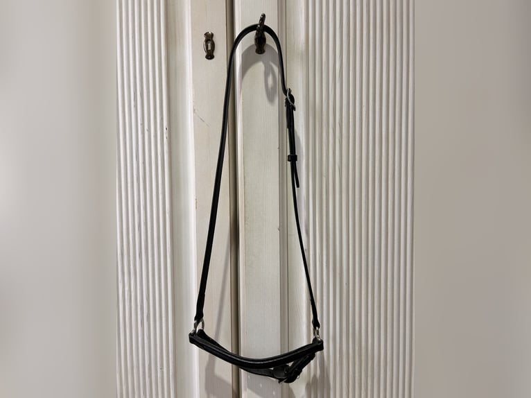 Topreiter Klassik Nasenriemen hannoversch 