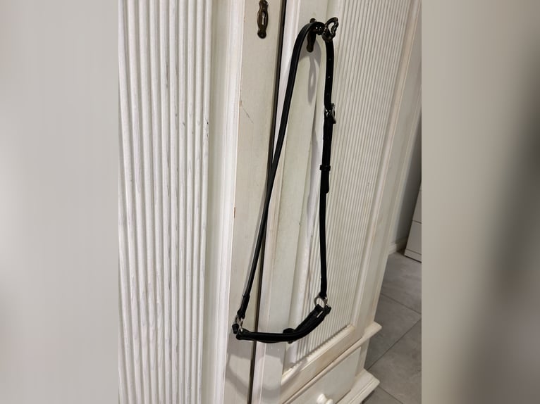 Topreiter Klassik Nasenriemen hannoversch 