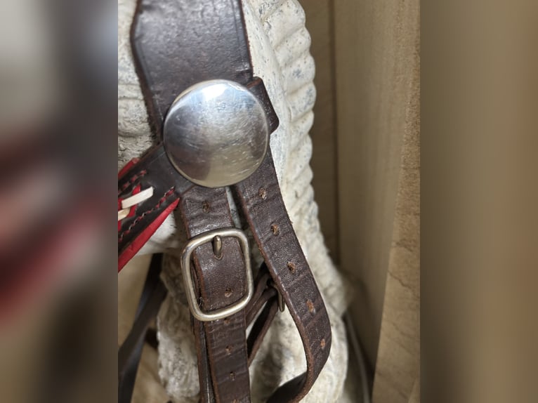 Trense für Haflinger handgefertigt in Österreich