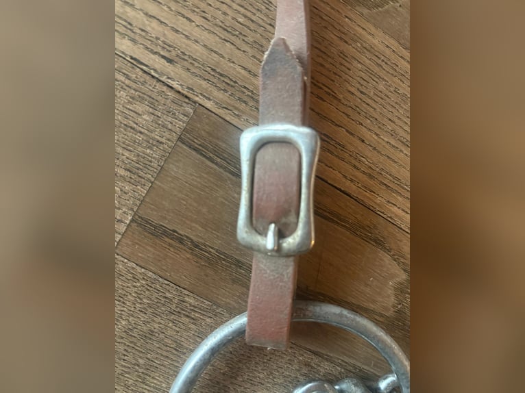 Biothan-Trense in schönem Cognac-Braun Biothan-Trense in schönem Cognac-Braun