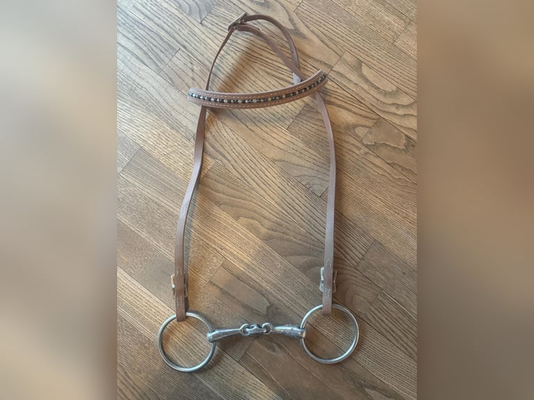 Biothan-Trense in schönem Cognac-Braun Biothan-Trense in schönem Cognac-Braun