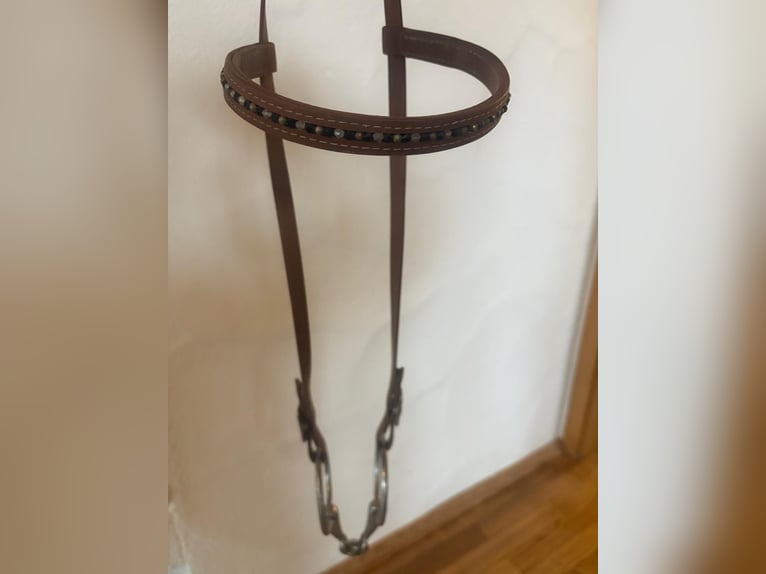 Biothan-Trense in schönem Cognac-Braun Biothan-Trense in schönem Cognac-Braun