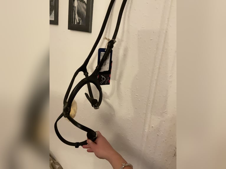 Mexikanisches Reithalfter Gr. Cob