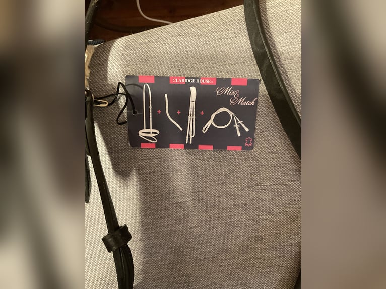 Mexikanisches Reithalfter Gr. Cob