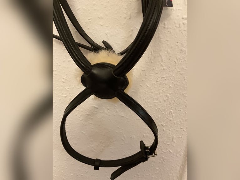 Mexikanisches Reithalfter Gr. Cob