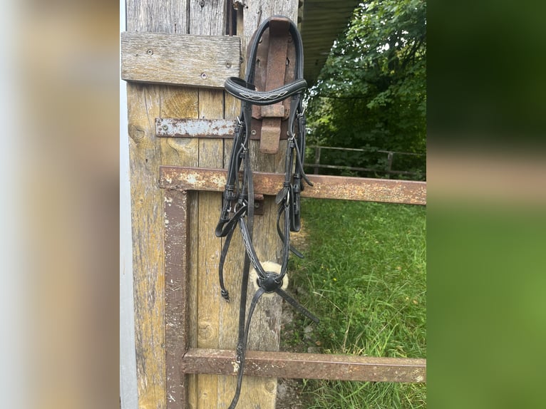 Mexikanisches Reithalfter – Kavalkade Ecoline 