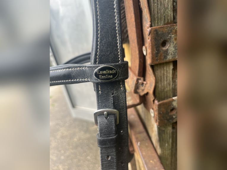 Mexikanisches Reithalfter – Kavalkade Ecoline 