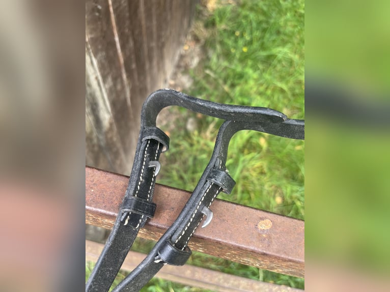 Trense mit passenden Zügeln abzugeben 