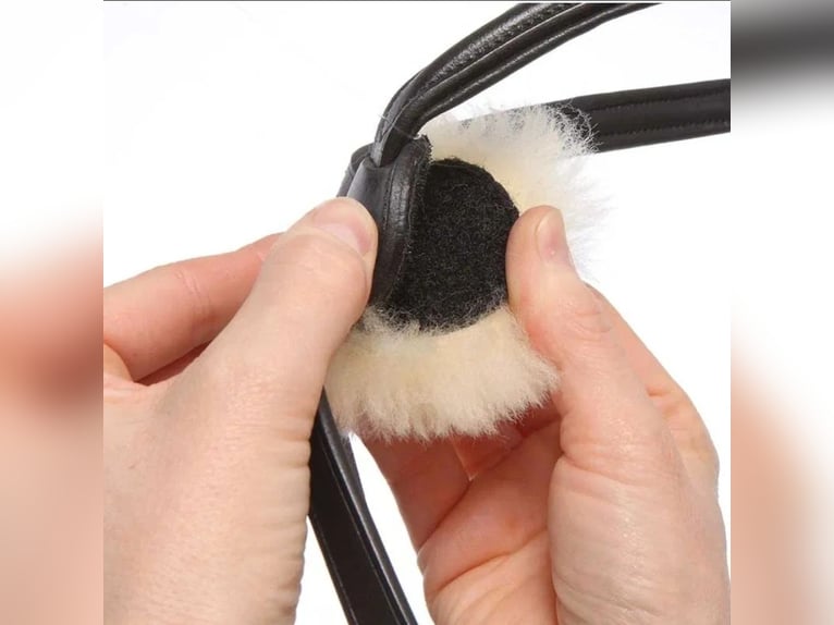 Wunderschönes mexikanisches Zaumzeug