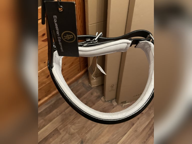 BR Reithalfter für Kandarre Lack weiß und schwarz unterlegt.