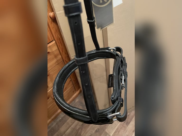 BR Reithalfter für Kandarre Lack weiß und schwarz unterlegt.