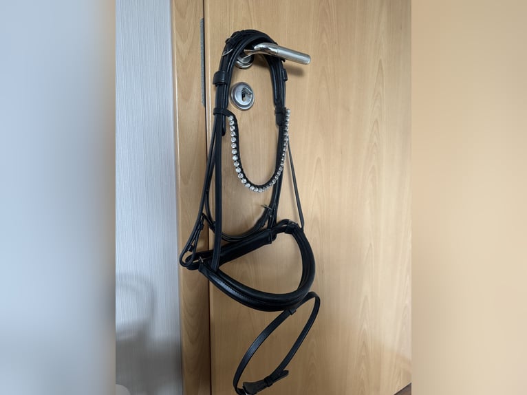 Neue Ivy Horsefashion Trense