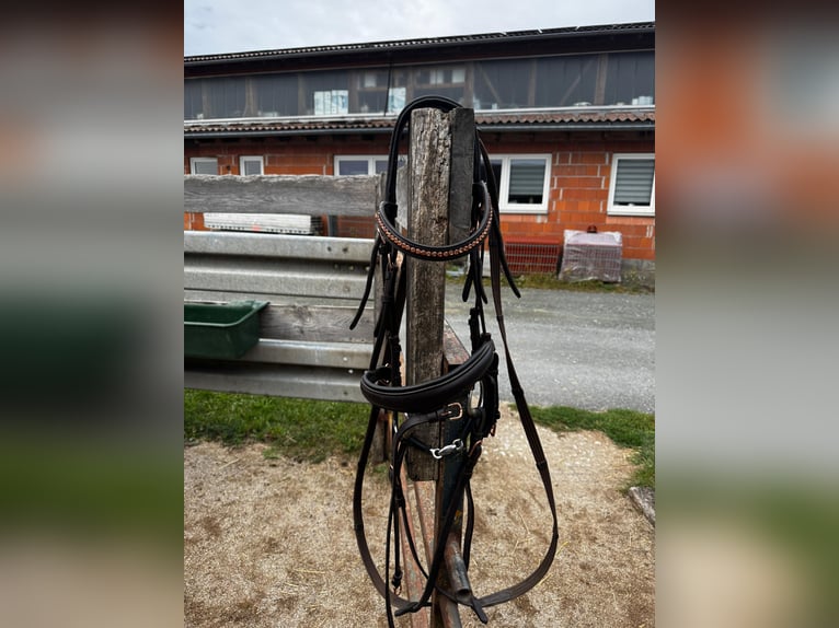 Roségold-braune Trense