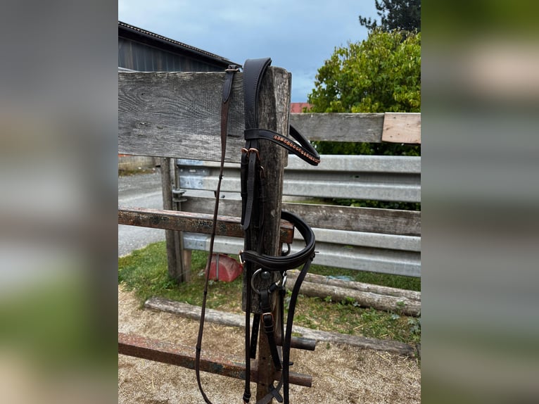 Roségold-braune Trense