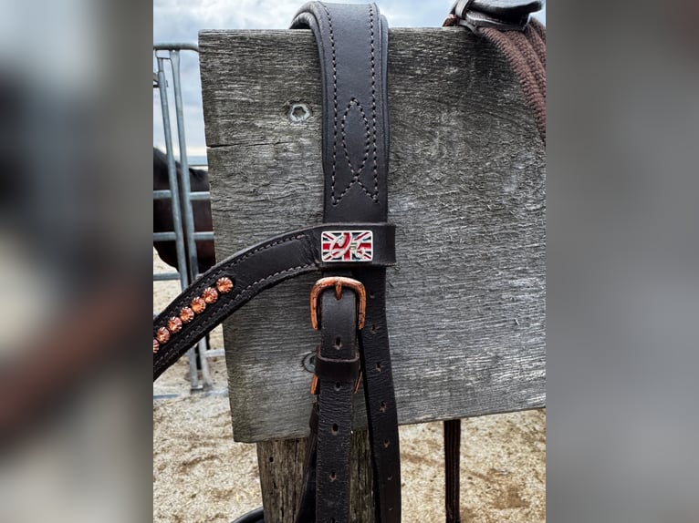 Roségold-braune Trense