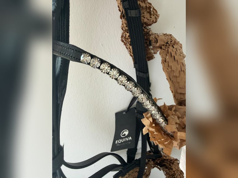 Equipment bei Kiefer Trense Felis