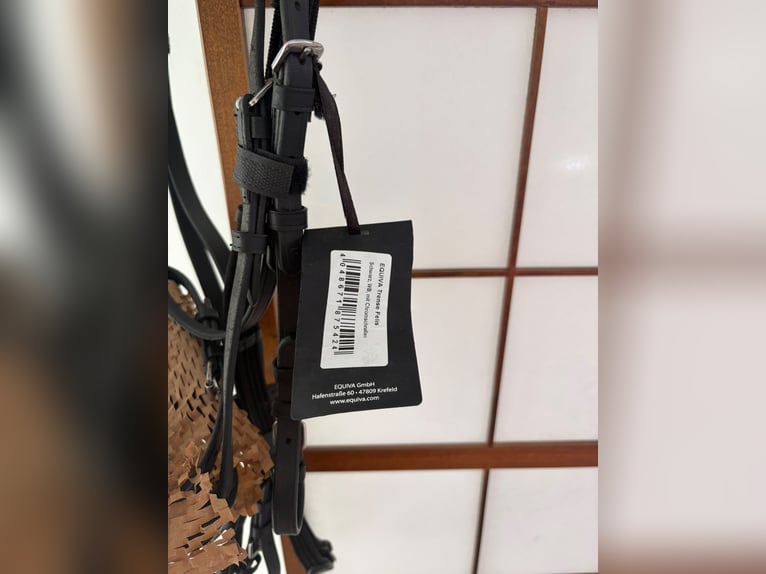 Equipment bei Kiefer Trense Felis