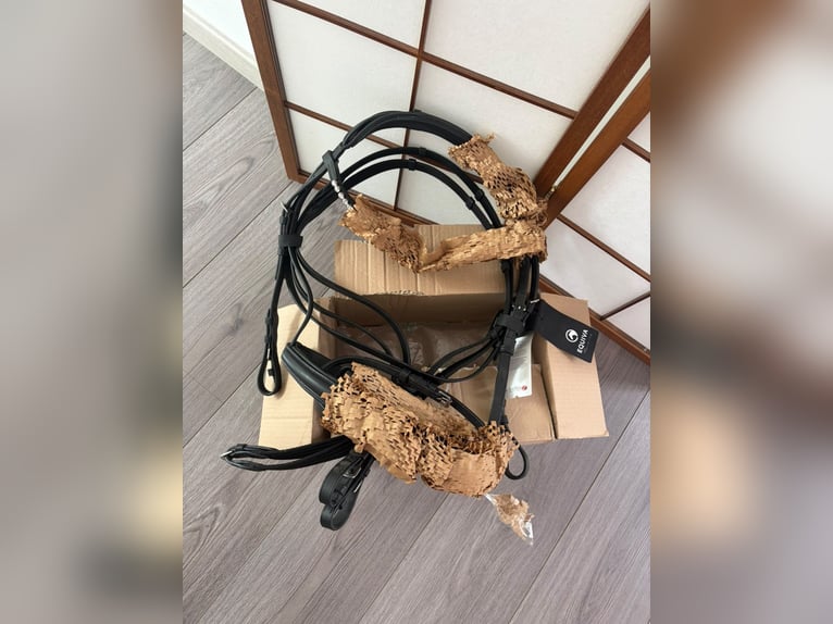 Equipment bei Kiefer Trense Felis