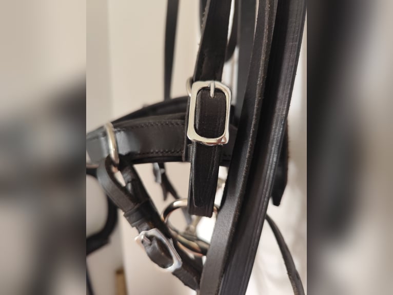 Kappzaum Marjoman schwarz Gr WB *fast NEU*