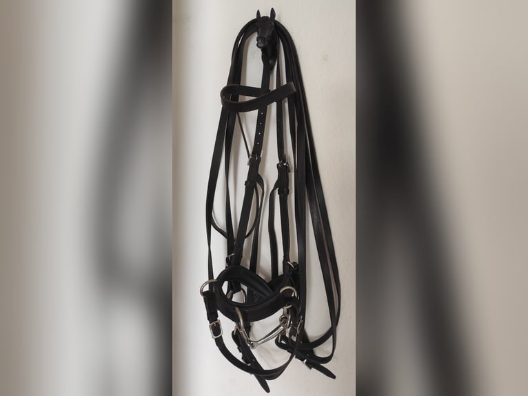 Kappzaum Marjoman schwarz Gr WB *fast NEU*