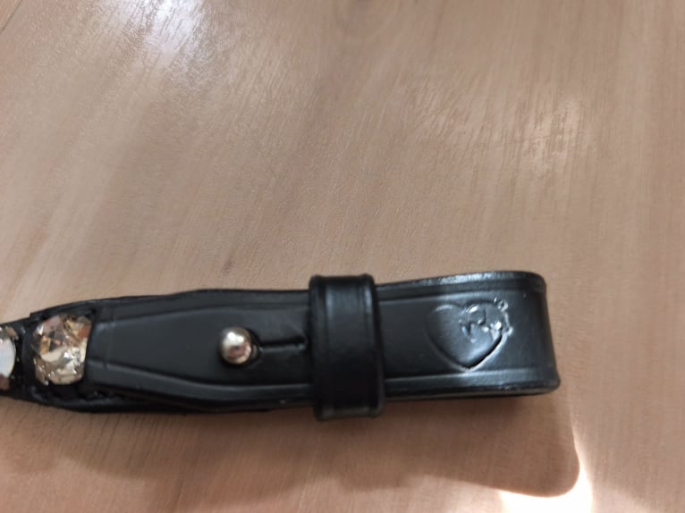 Magic Horse Design Micklem Trense