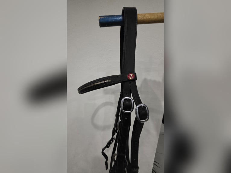 Mexikanische Trense von Kieffer WB Mexikanische Trense von Kieffer WB