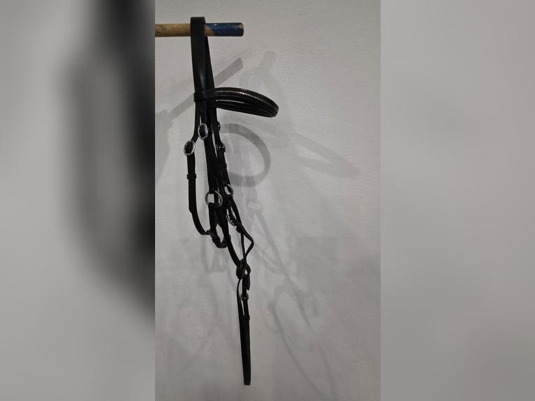 Mexikanische Trense von Kieffer WB Mexikanische Trense von Kieffer WB