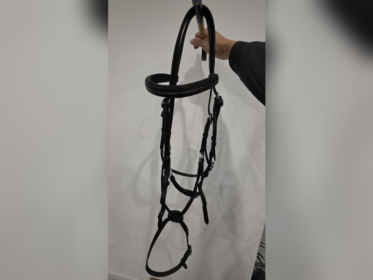 Mexikanische Trense von Kieffer WB Mexikanische Trense von Kieffer WB