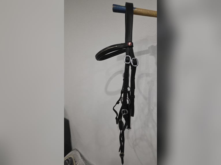 Mexikanische Trense von Kieffer WB Mexikanische Trense von Kieffer WB