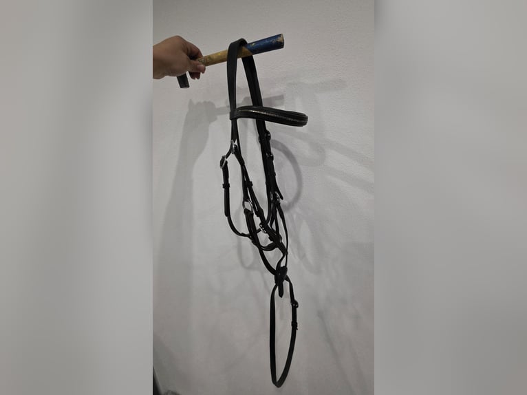 Mexikanische Trense von Kieffer WB Mexikanische Trense von Kieffer WB