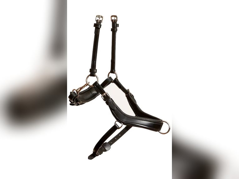 NEU:Equitec SET Luxuszaumzeug mit vielen Stirnriemen u. Stübben Züge