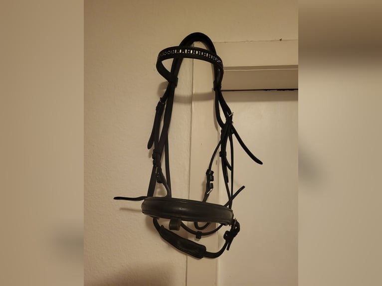 PONY Trense 