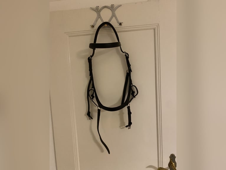 Rambo Micklem Competition Bridle Schwarz WB