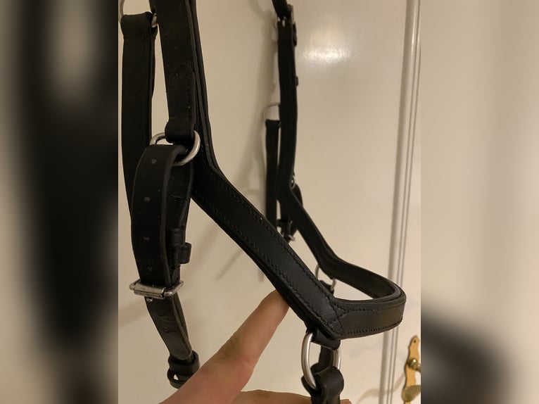 Rambo Micklem Competition Bridle Schwarz WB