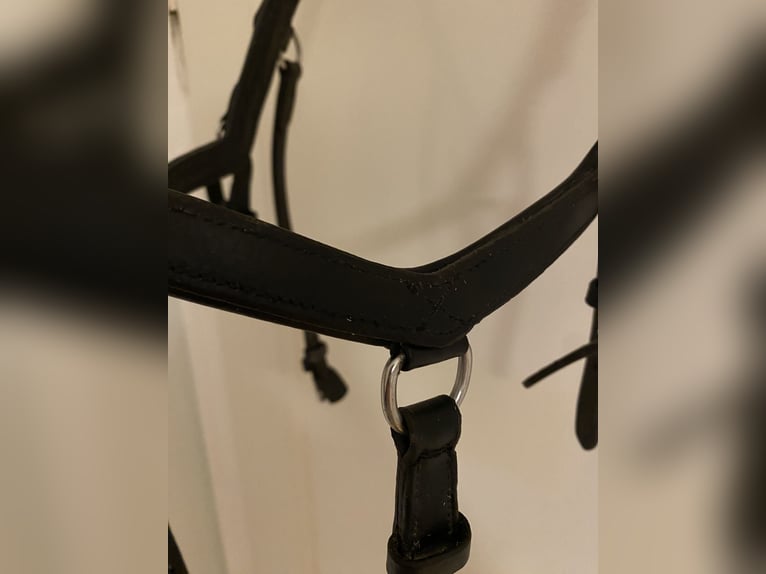 Rambo Micklem Competition Bridle Schwarz WB