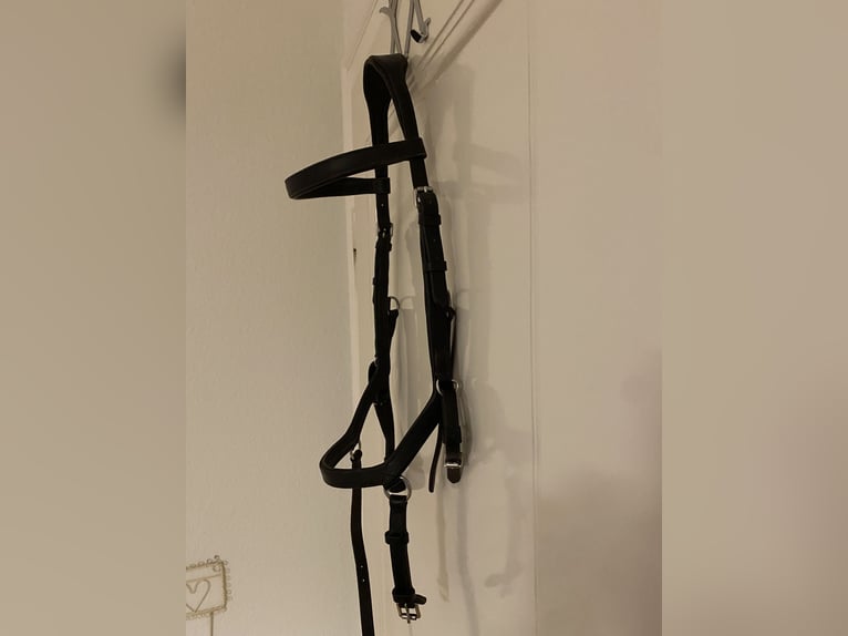 Rambo Micklem Competition Bridle Schwarz WB