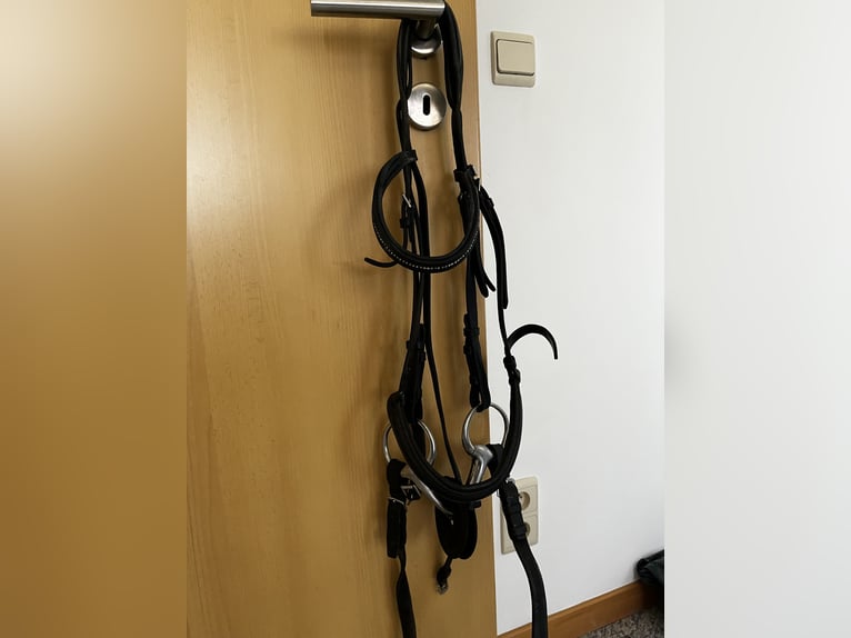Trense Pony inklusive Zügel 