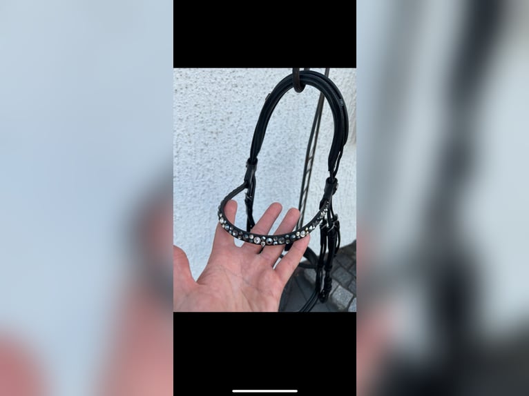 Trense von Magic Tack/ Harmony + 1 Extra Stirnriemen