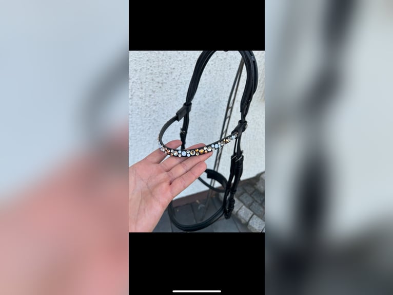 Trense von Magic Tack/ Harmony + 1 Extra Stirnriemen