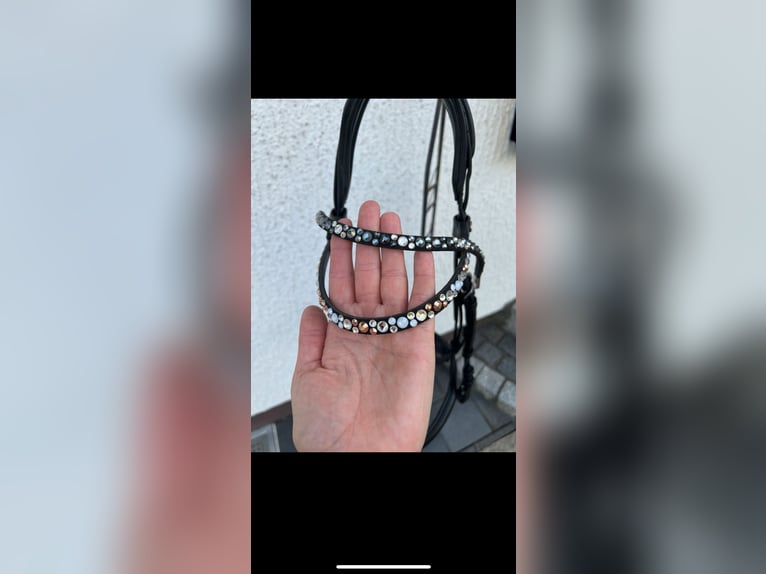 Trense von Magic Tack/ Harmony + 1 Extra Stirnriemen