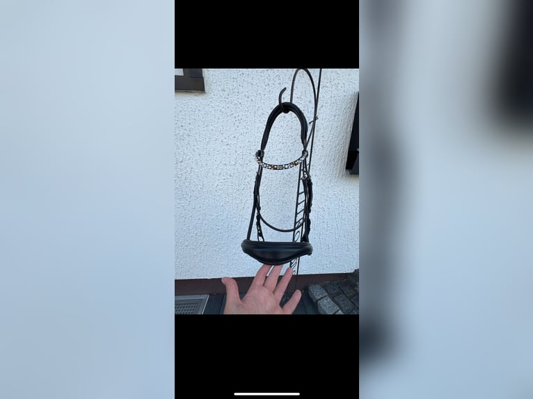 Trense von Magic Tack/ Harmony + 1 Extra Stirnriemen