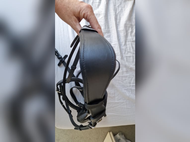 Ungenutzte Trensen Gr. Cob