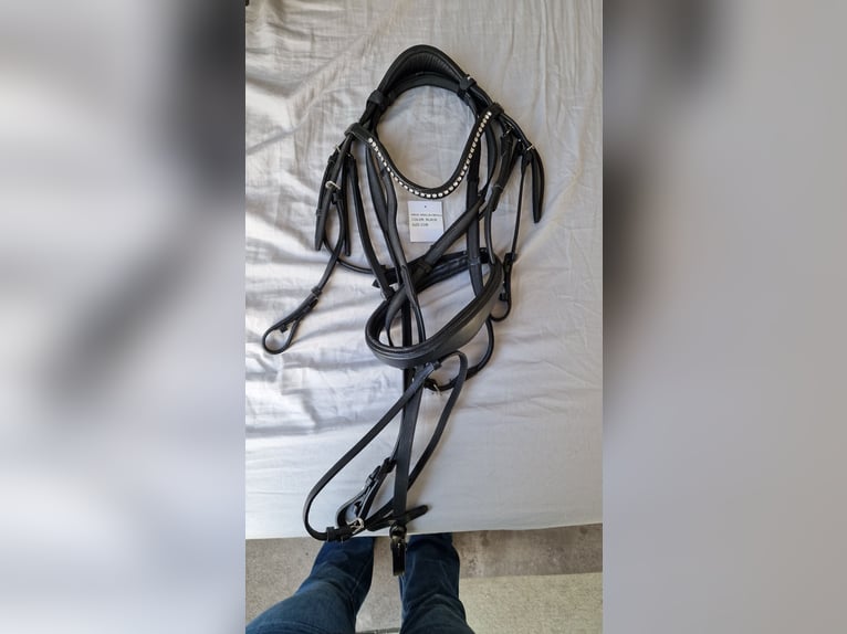 Ungenutzte Trensen Gr. Cob