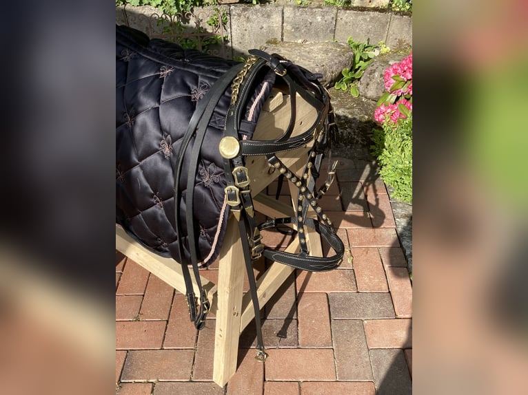 Working Equitation: Original Offizierszaum von Signum Sattelservice, schwarz, nicht mehr erhältlich