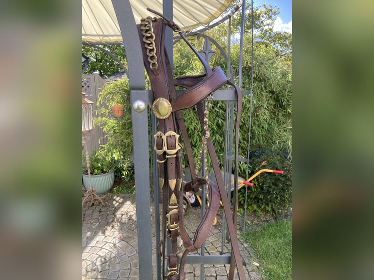 Working Equitation: Original Signum Sattelservice Offizierszaum, braun, mit Zügeln, topp